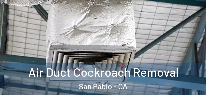  Air Duct Cockroach Removal San Pablo - CA