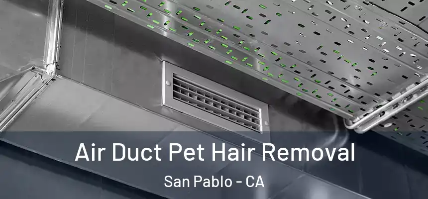 Air Duct Pet Hair Removal San Pablo - CA