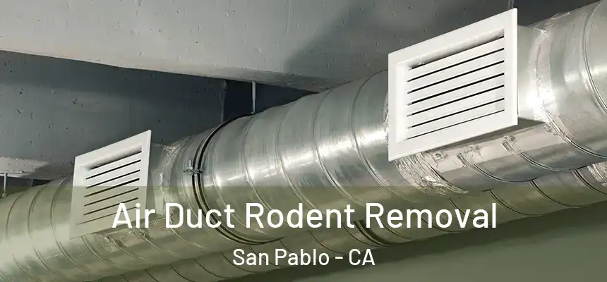  Air Duct Rodent Removal San Pablo - CA