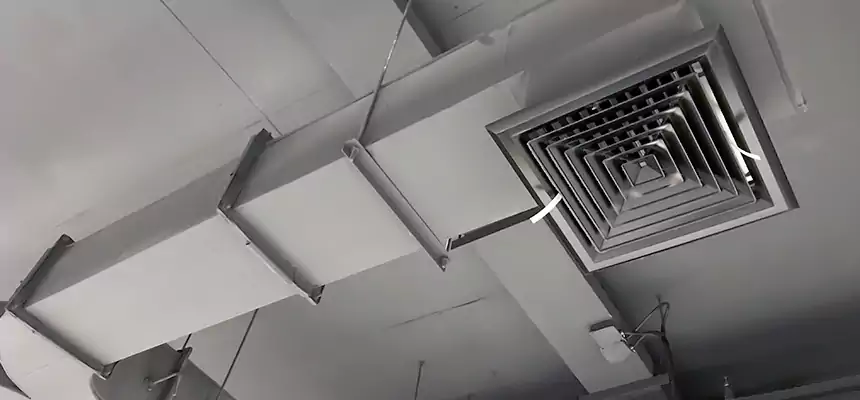 Restorative Allergy Relief Vent Cleaning – Coil, Blower & Housing Detail in San Pablo