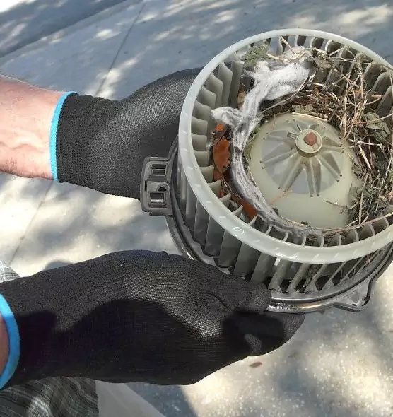 About Air Duct Rat Removal in San Pablo, CA