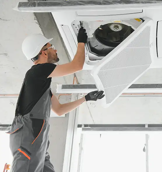 About Air Duct Rodent Removal in San Pablo, CA