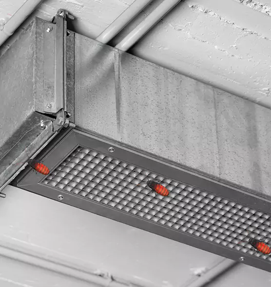 Affordable Insect Removal from Air Ducts in San Pablo, CA