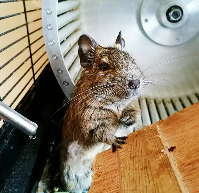 Why Homeowners & Businesses Trust Us San Pablo, CA